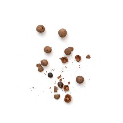 Poivre de test - Topologie 2 - modif