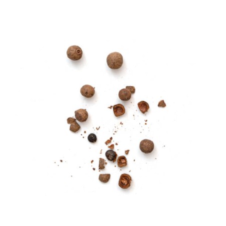 Poivre de test - Topologie 2 - modif